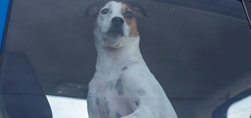 Car Lockout Solutions in Glendora, California